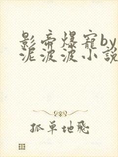 影帝爆宠by芋泥波波小说免费阅读