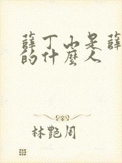 薛丁山是薛仁贵的什么人