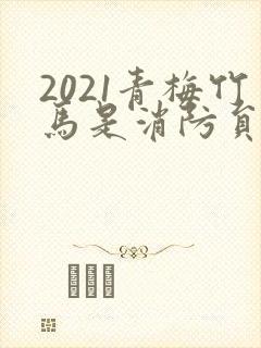 2021青梅竹马是消防员第二季
