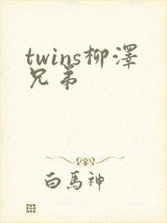 twins柳泽兄弟