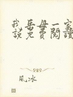 我岳母一家情小说免费阅读