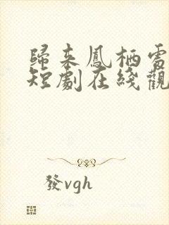 归来凤栖处短剧短剧在线观看