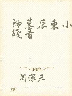 神墓辰东小说在线看