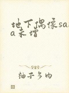地下偶像sana未增