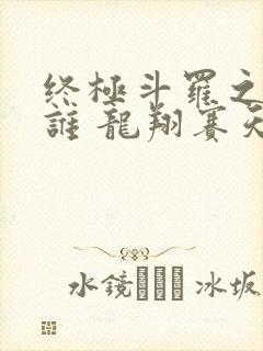 终极斗罗之我是谁 龙翔赛天