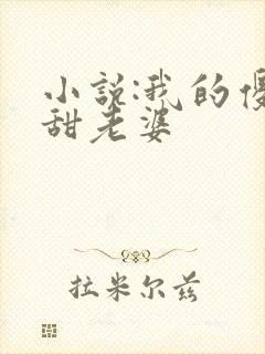 小说:我的傻白甜老婆