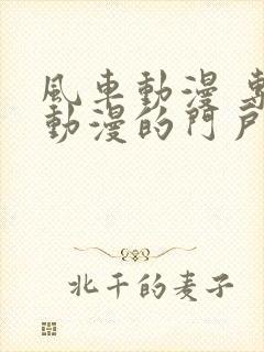 风车动漫 专注动漫的门户网站官网