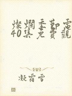 灿烂季节电视剧40集免费观看高清