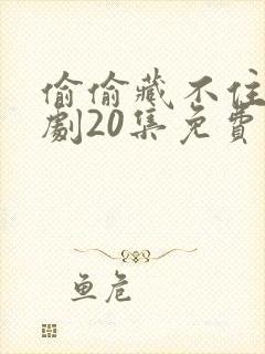 偷偷藏不住广播剧20集免费收听