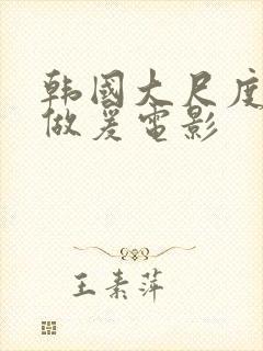 韩国大尺度激情做爰电影封面