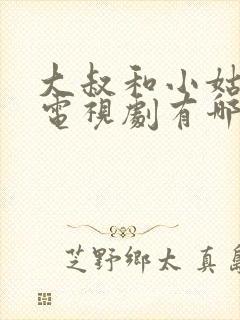 大叔和小姑娘的电视剧有哪些封面