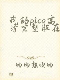 我的pico高清完整版在线观看