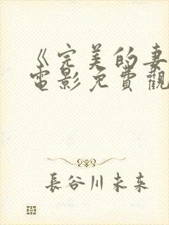 《完美的妻子》电影免费观看