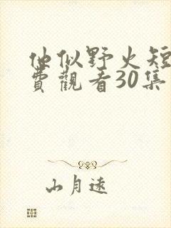 他似野火短剧免费观看30集