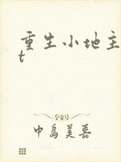 重生小地主txt封面