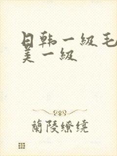 日韩一级毛一欧美一级