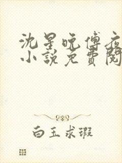 沈星晚傅夜霆的小说免费阅读封面