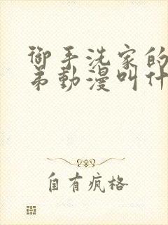 御手洗家的姐姐弟动漫叫什么名字来着封面