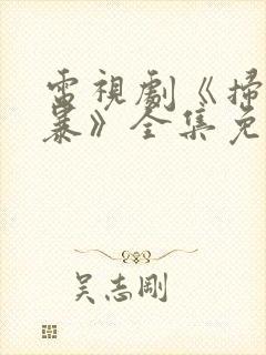 电视剧《扫黑风暴》全集免费观看封面