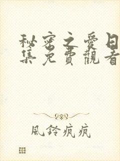 秘密之爱日剧全集免费观看