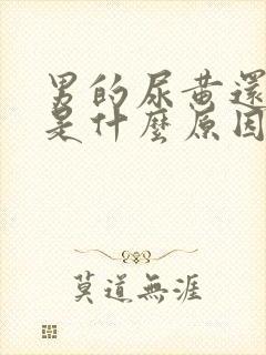 男的尿黄还起沫是什么原因