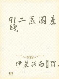 91二区国产在线