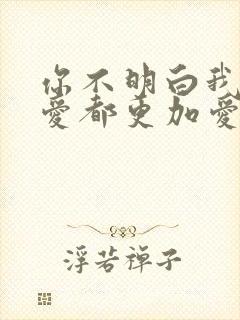 你不明白我说不爱都更加爱是啥歌封面