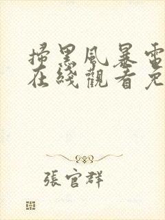 扫黑风暴电视剧在线观看免费全集