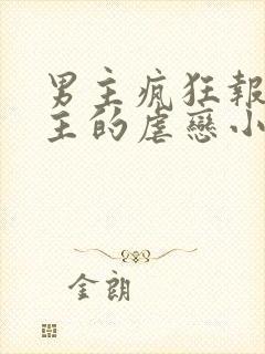 男主疯狂报复女主的虐恋小说封面