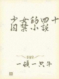 少女的四十九天囚禁小说