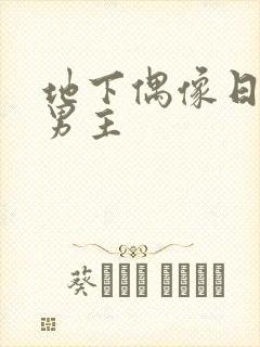 地下偶像日漫双男主