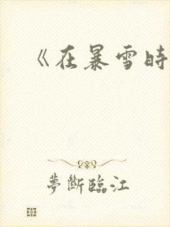 《在暴雪时分》