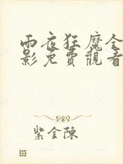 雨夜狂魔全集电影免费观看中文封面