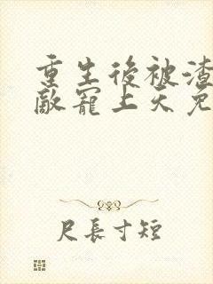 重生后被渣男死敌宠上天免费下载