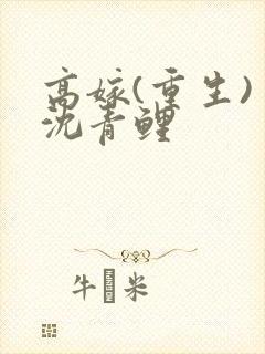 高嫁(重生) 沈青鲤