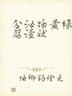 分泌物黄绿色豆腐渣状封面