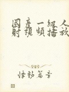 国产一级人片内射视频播放