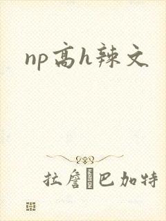 np高h辣文