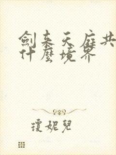 剑来天庭共主是什么境界