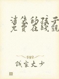 消失的孩子全集免费在线观看