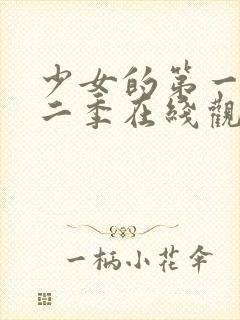 少女的第一次第二季在线观看