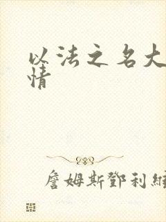 以法之名大概剧情