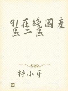 91在线国产一区二区