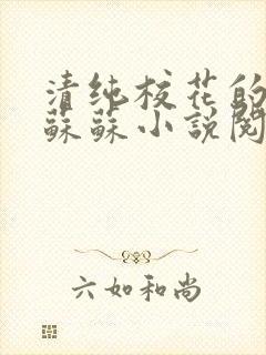 清纯校花的日常苏苏小说阅读全文