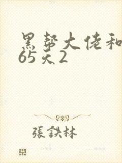 黑帮大佬和我365天2