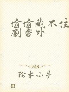 偷偷藏不住广播剧番外