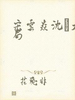 宋云焱沈大结局