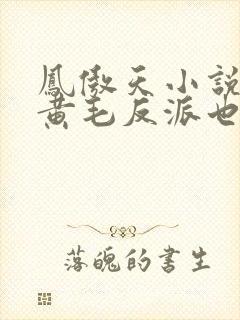 凤傲天小说里的黄毛反派也想要幸福小说