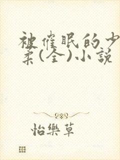 被催眠的少女小柔(全)小说