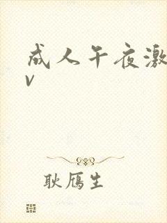 成人午夜激情av封面